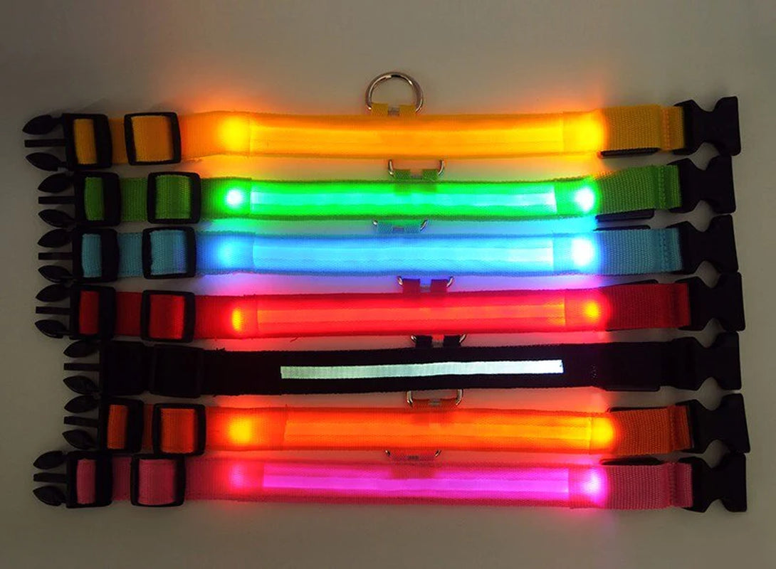 LED Adjustable Dog Collar - Safety and Waterproof