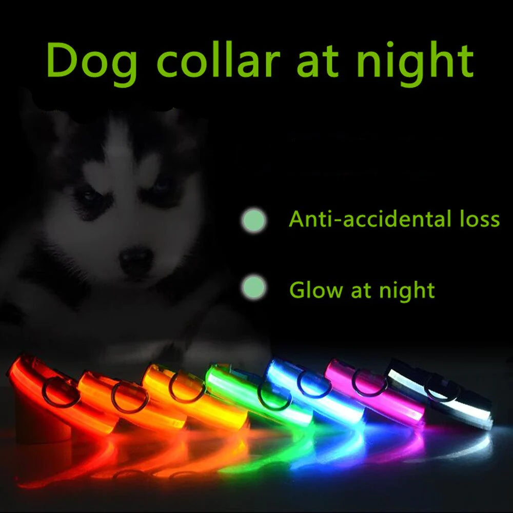 LED Adjustable Dog Collar - Safety and Waterproof