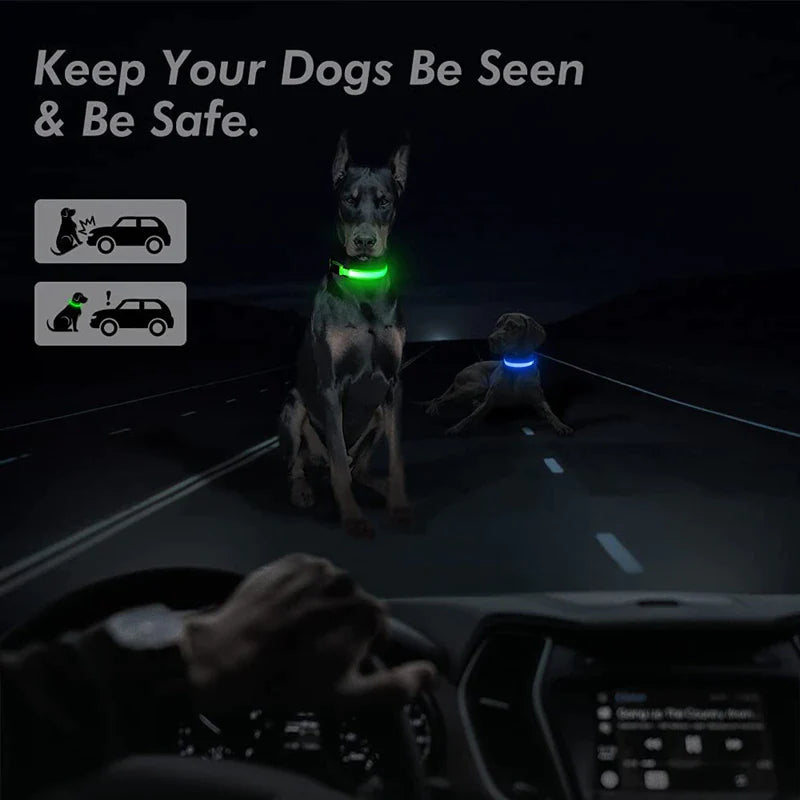 LED Adjustable Dog Collar - Safety and Waterproof