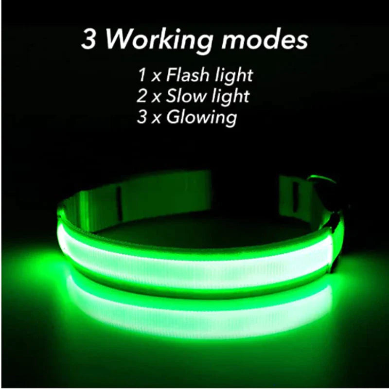 LED Adjustable Dog Collar - Safety and Waterproof