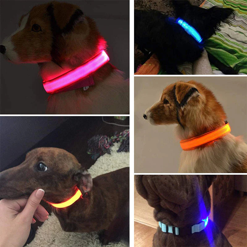 LED Adjustable Dog Collar - Safety and Waterproof