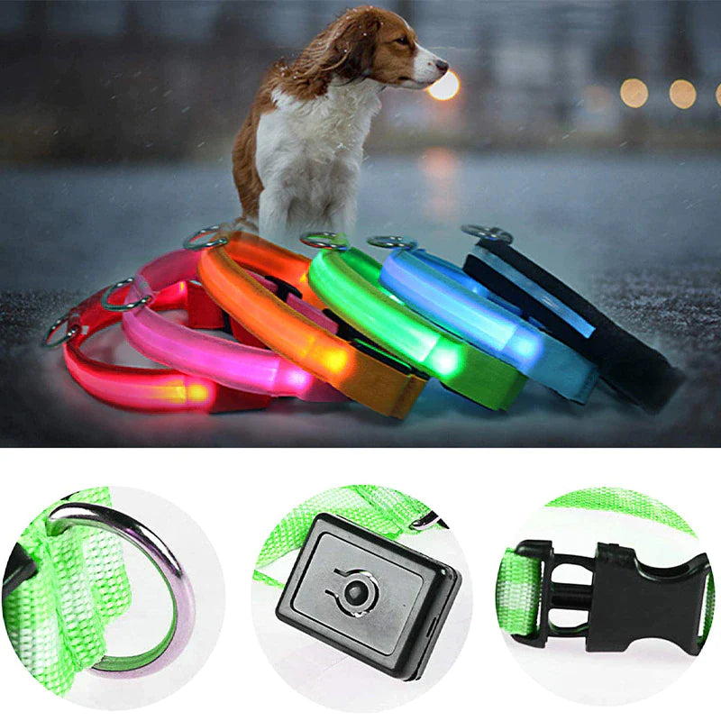 LED Adjustable Dog Collar - Safety and Waterproof