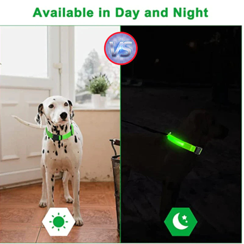 LED Adjustable Dog Collar - Safety and Waterproof