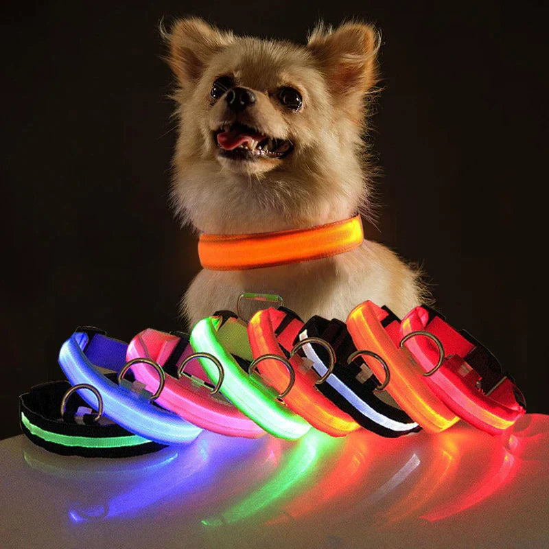 LED Adjustable Dog Collar - Safety and Waterproof